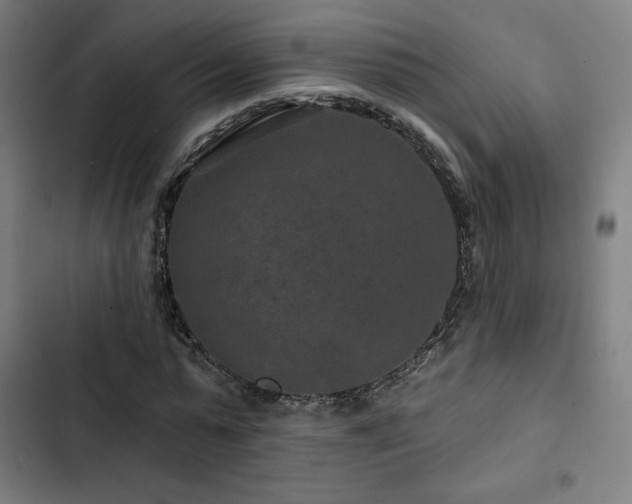 X0000103320775200809051146