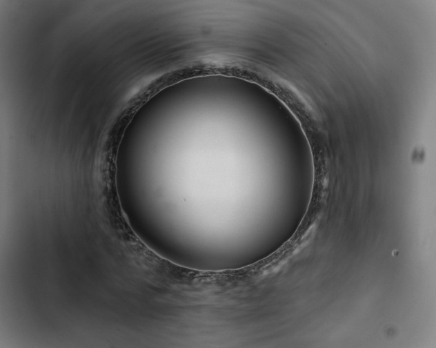 X0000103320776200809051146