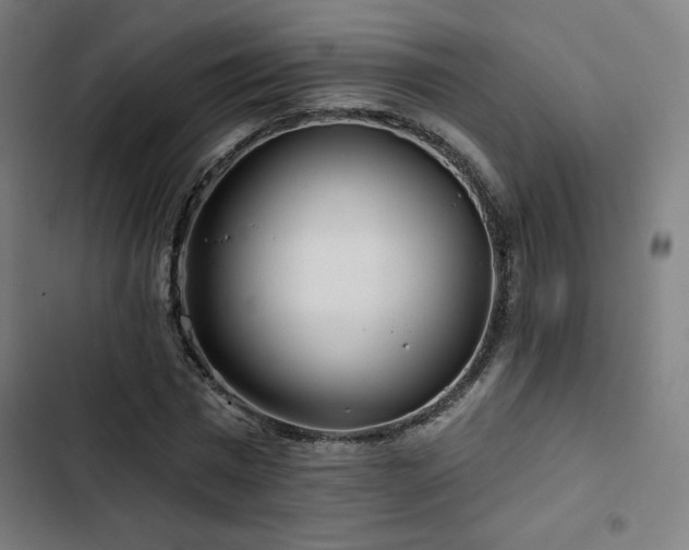 X0000103320777200809051146
