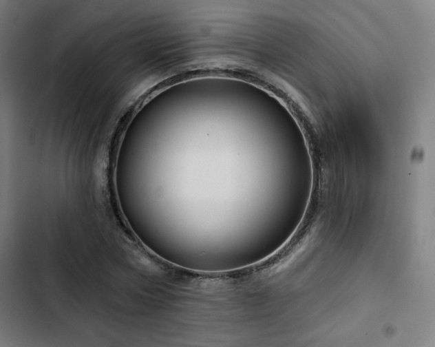 X0000103320778200809051146