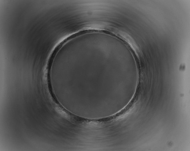X0000103320779200809051146