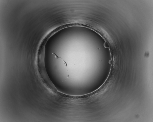 X0000103320780200809051146