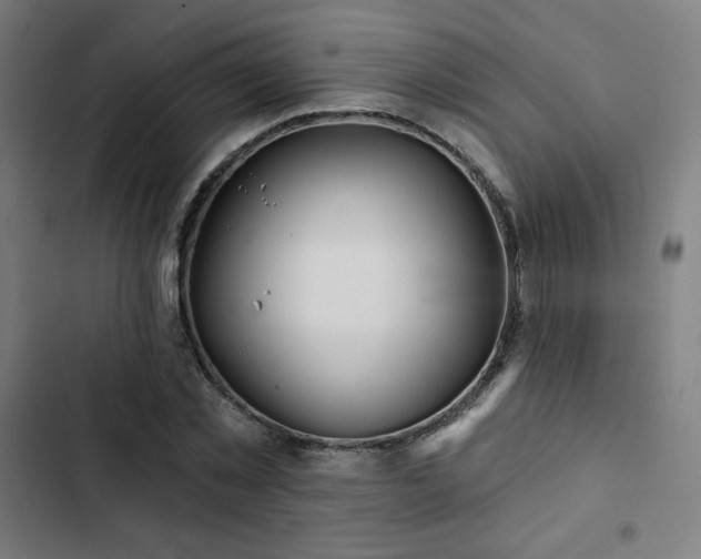 X0000103320781200809051146