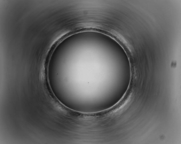 X0000103320782200809051146