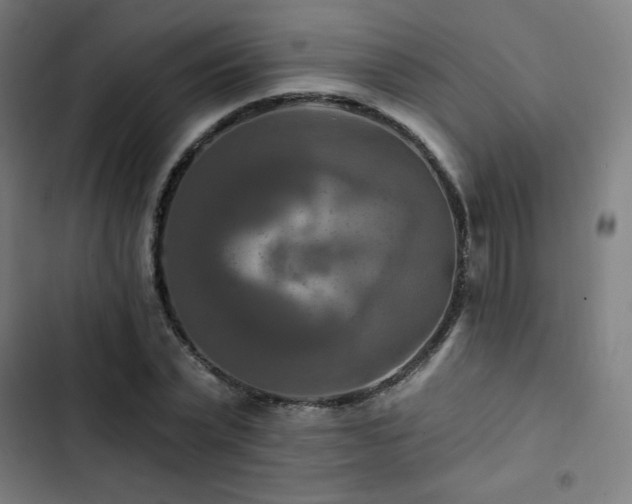 X0000103320783200809051146