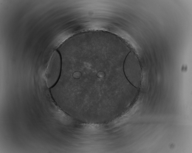 X0000103320785200809051146