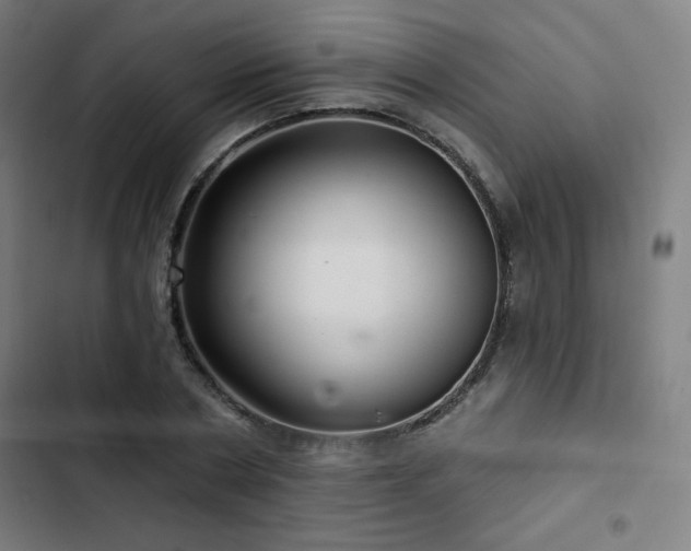 X0000103320786200809051146