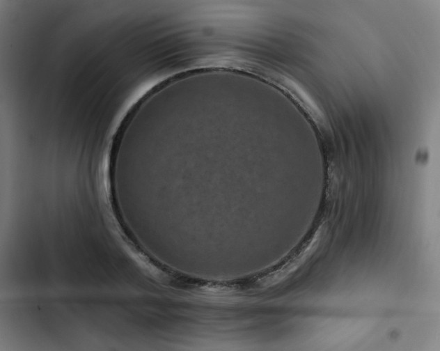 X0000103320788200809051146