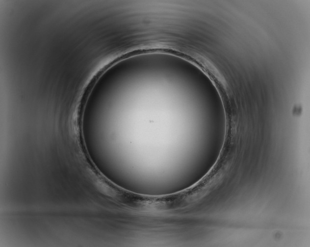 X0000103320789200809051146