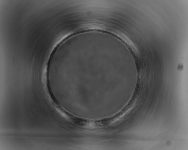 X0000103320790200809051146