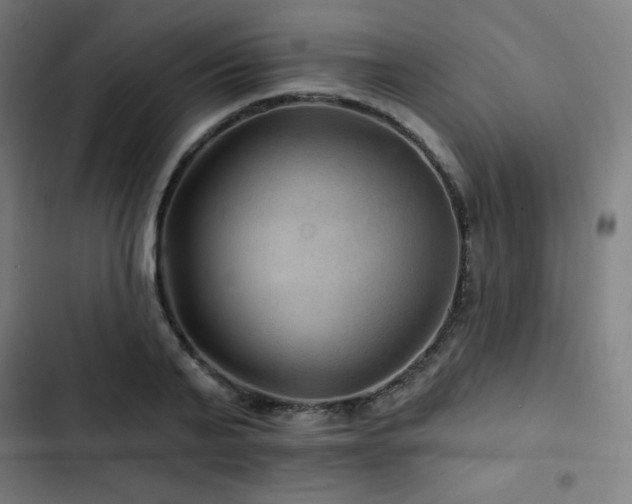 X0000103320791200809051146