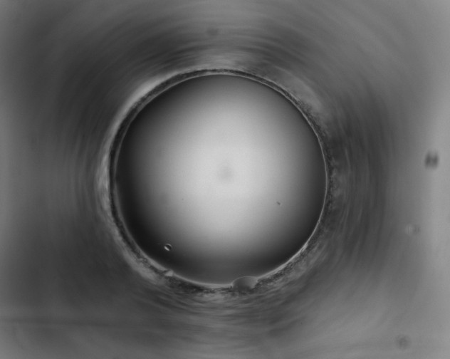 X0000103320792200809051146
