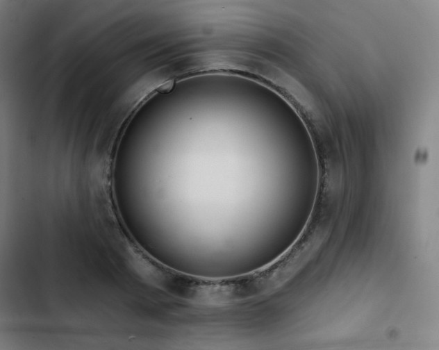 X0000103320793200809051146