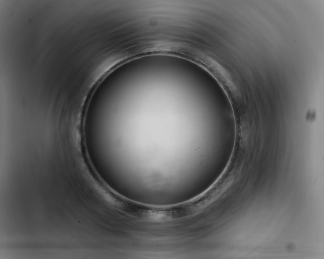 X0000103320794200809051146