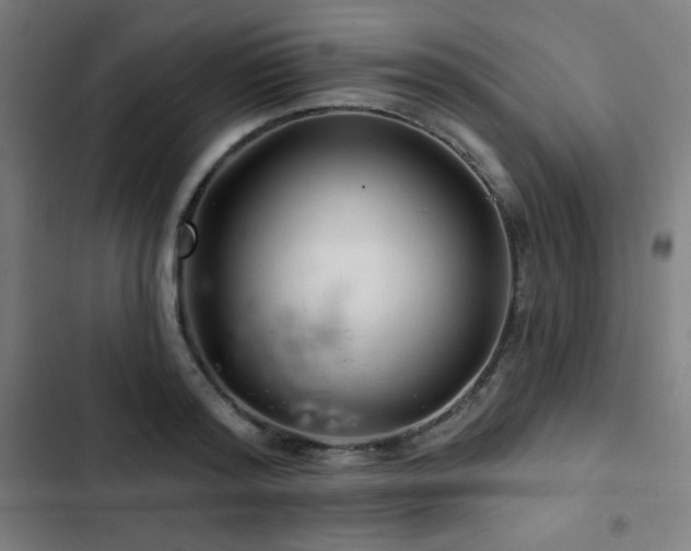 X0000103320796200809051146