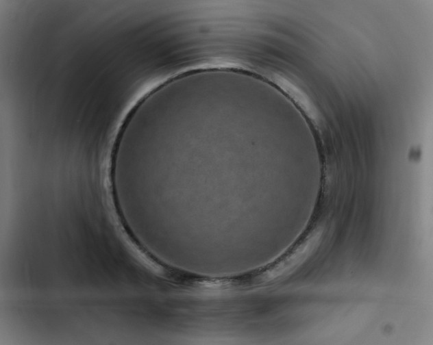 X0000103320797200809051146