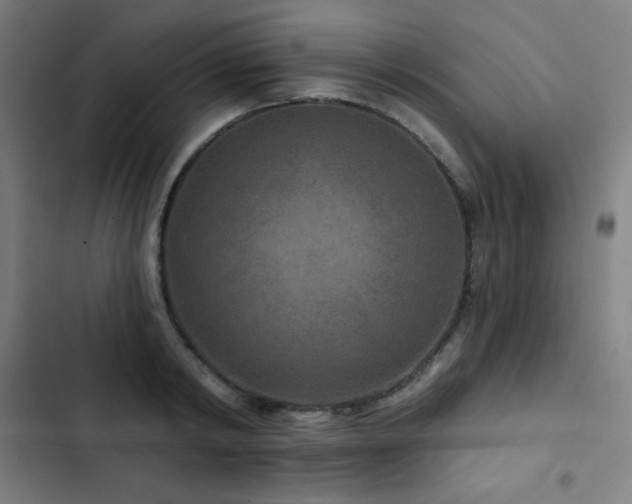 X0000103320798200809051146