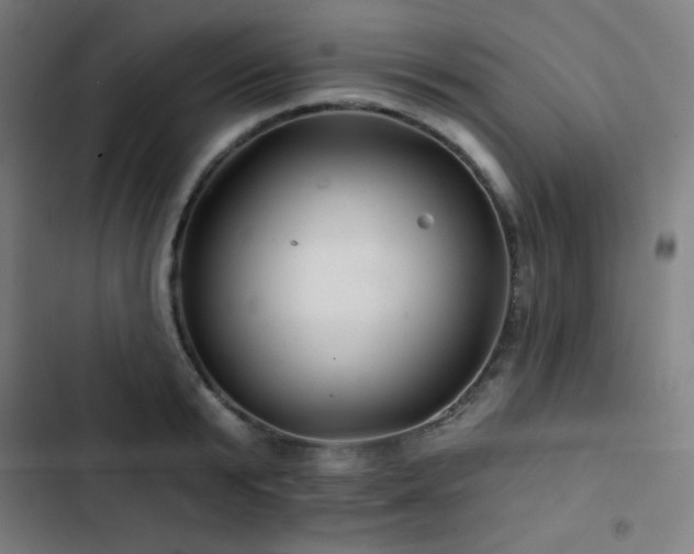X0000103320799200809051146
