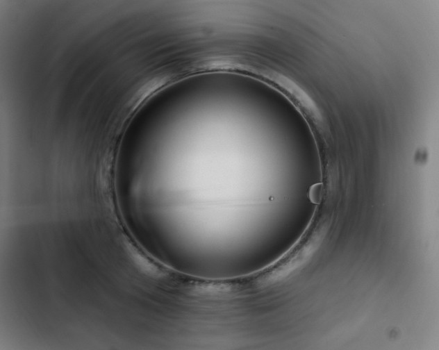 X0000103320801200809051146