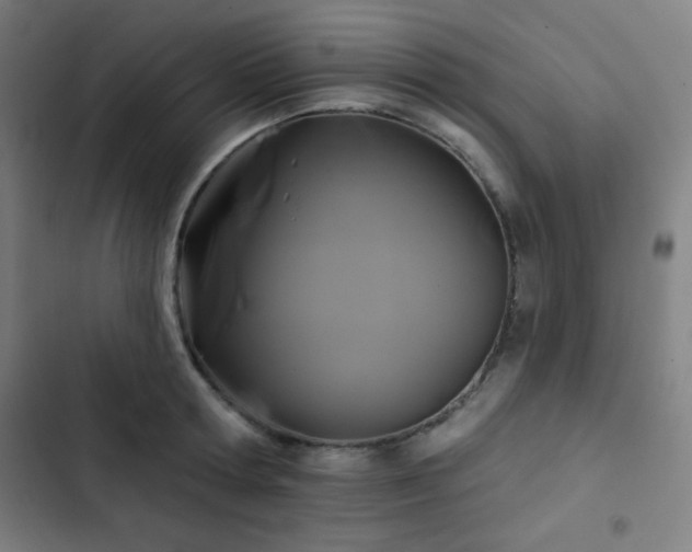 X0000103320802200809051146