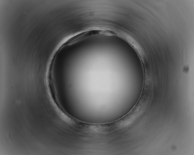 X0000103320803200809051146