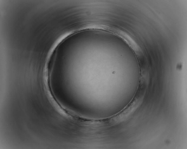 X0000103320804200809051146