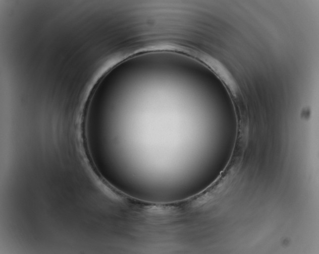 X0000103320805200809051146