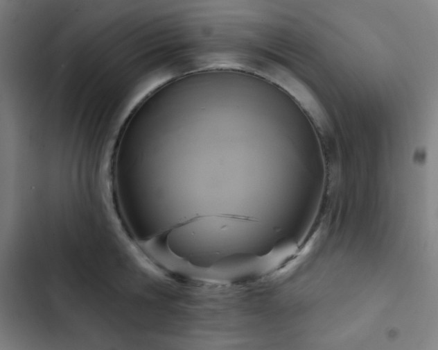X0000103320806200809051146