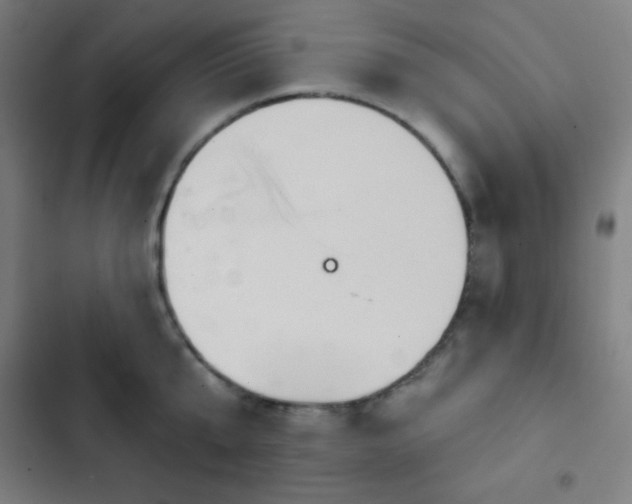 X0000103320807200809051146