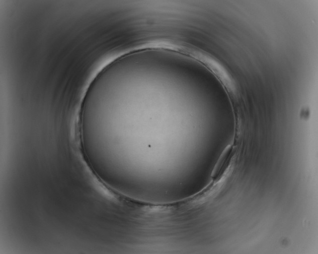X0000103320808200809051146
