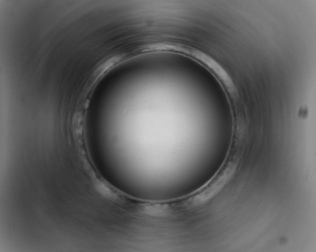 X0000103320809200809051146
