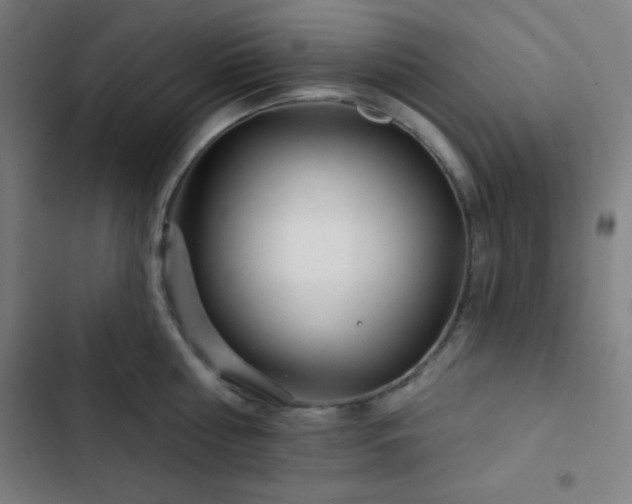 X0000103320810200809051146