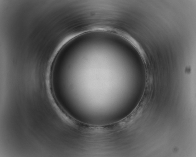 X0000103320811200809051146