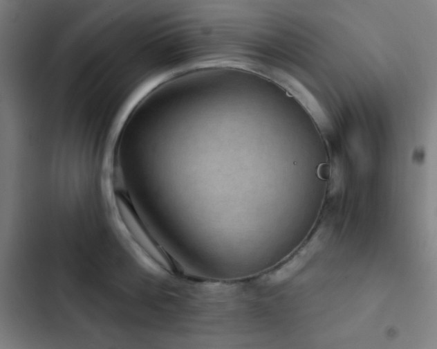 X0000103320812200809051146