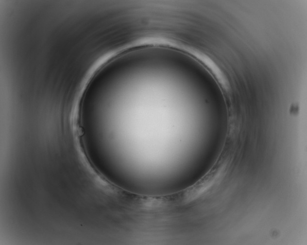 X0000103320815200809051146