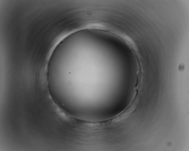 X0000103320816200809051146