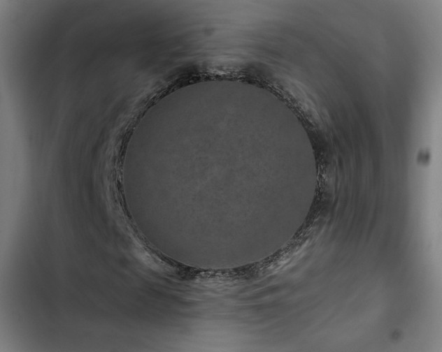 X0000103320817200809051145