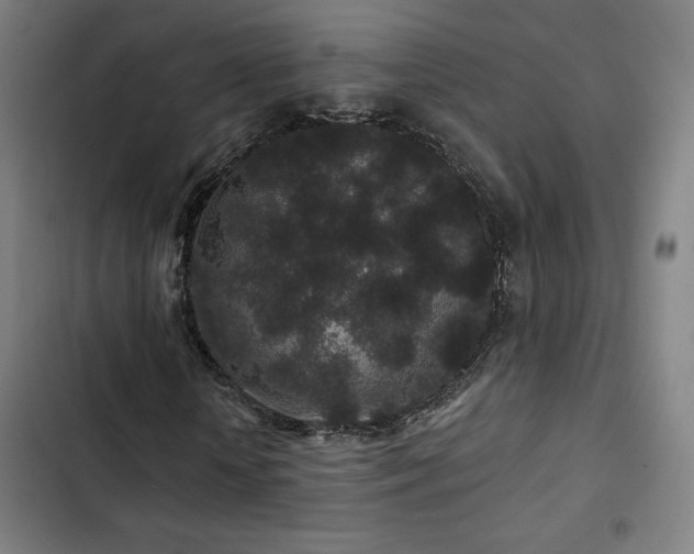 X0000103320818200809051145
