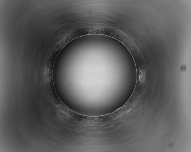 X0000103320819200809051145