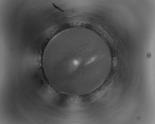 X0000103320820200809051145