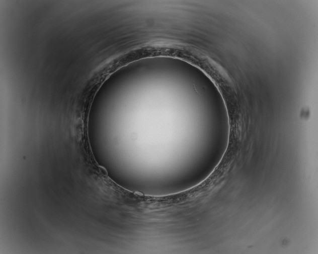 X0000103320821200809051145