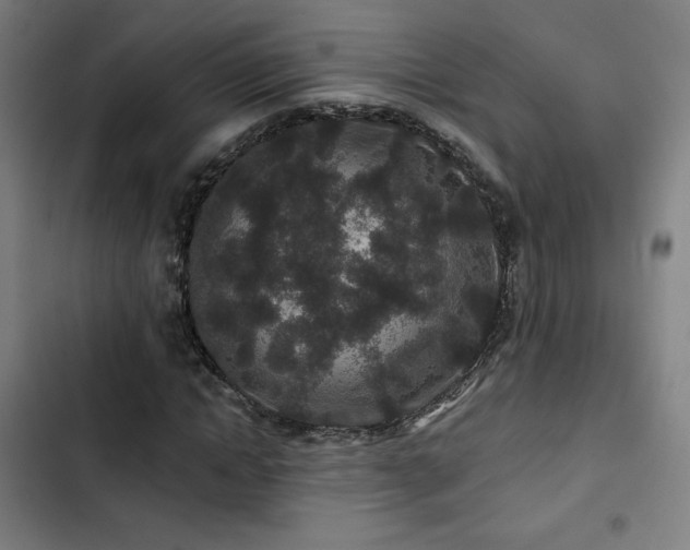 X0000103320822200809051145
