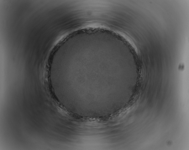 X0000103320823200809051145