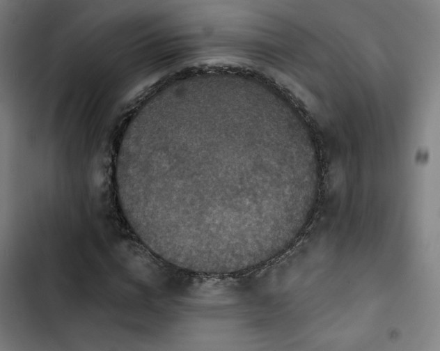 X0000103320824200809051145