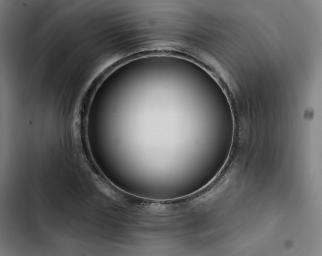 X0000103320827200809051145