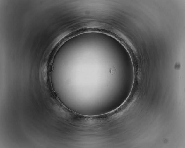 X0000103320829200809051145