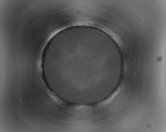 X0000103320830200809051145