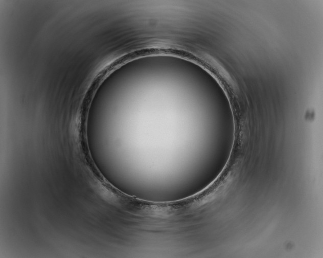 X0000103320831200809051145