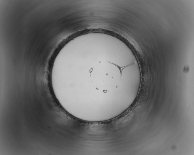 X0000103320832200809051145