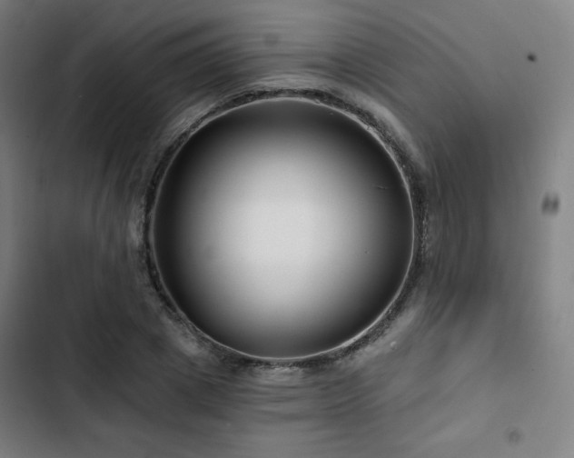 X0000103320833200809051145
